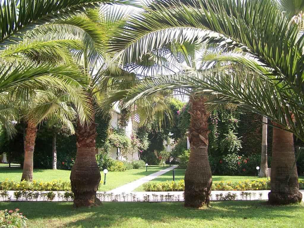 Club Boran Mare Beach Kemer Eksteriør billede