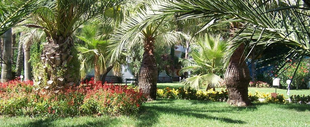 Club Boran Mare Beach Kemer Eksteriør billede